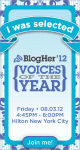 BlogHer Voice of the Year Award