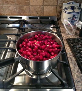 Cranberriesedited